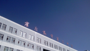 感情上 我是一个傻子