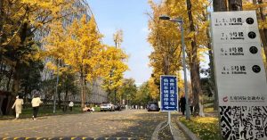 使用原生js开发一个 轮播图、Tab 组件