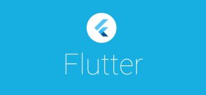 Flutter 前端秒入门，Dart 与 JavaScript 快速对照表